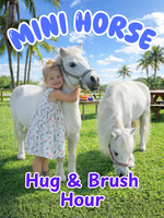 Mini Horse Hug & Brush